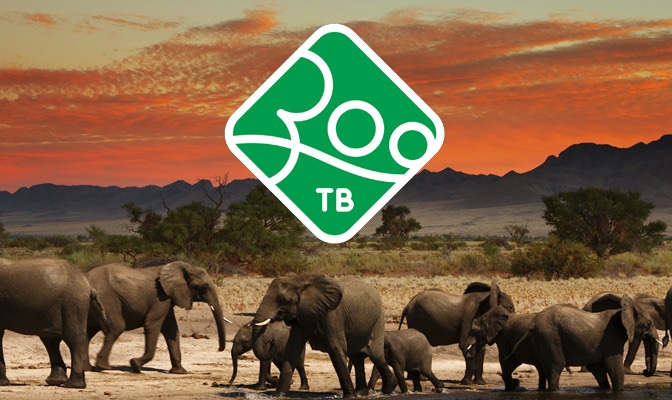 Просветительский проект «Зоо ТВ» стал лучшим на конкурсе имени Вернадского